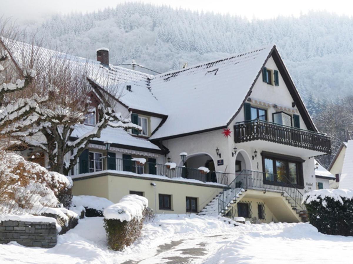 Landgasthof Gruener Baum 바덴바일러 외부 사진